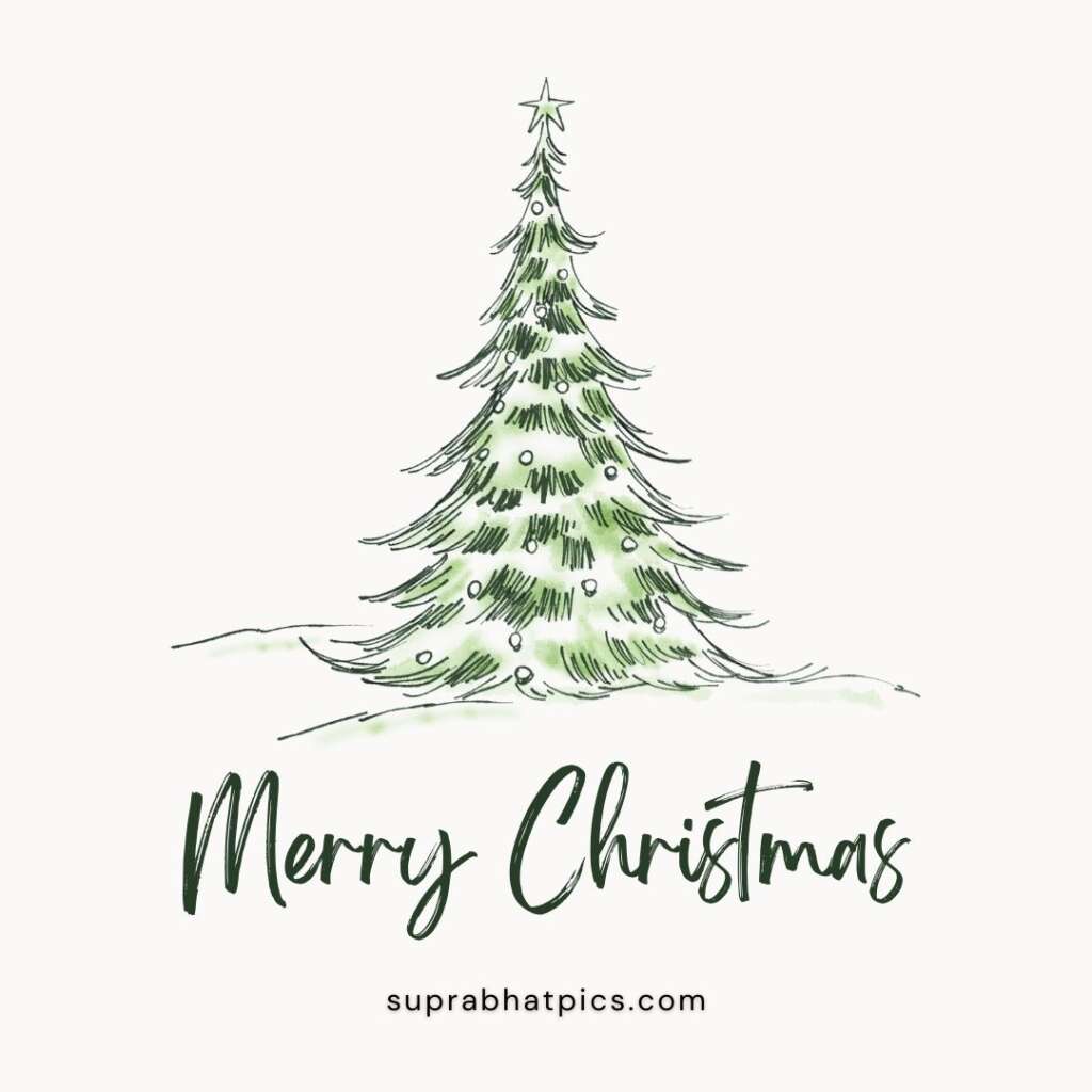 Merry-Christmas-Quotes-2